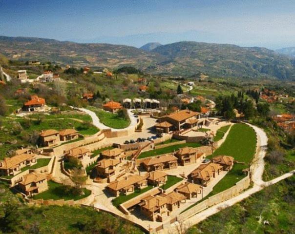 Pliadon Gi Mountain Resort&Spa Kato Sinikia Trikalon Exterior foto